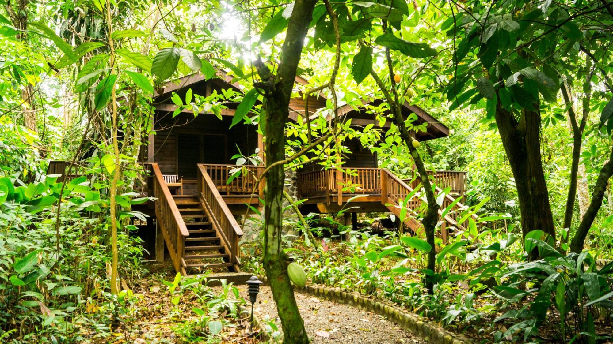The Lodge & Spa At Pico Bonito El Pino Ngoại thất bức ảnh